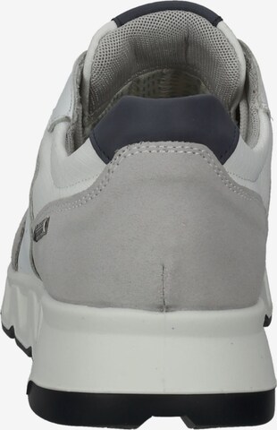 IGI&CO Sneakers in Grey