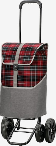 Andersen Shopper Shopper 'Gese' in Red: front