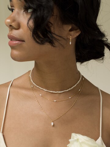 Hey Happiness Ohrringe 'Classic Pearl' in Gold