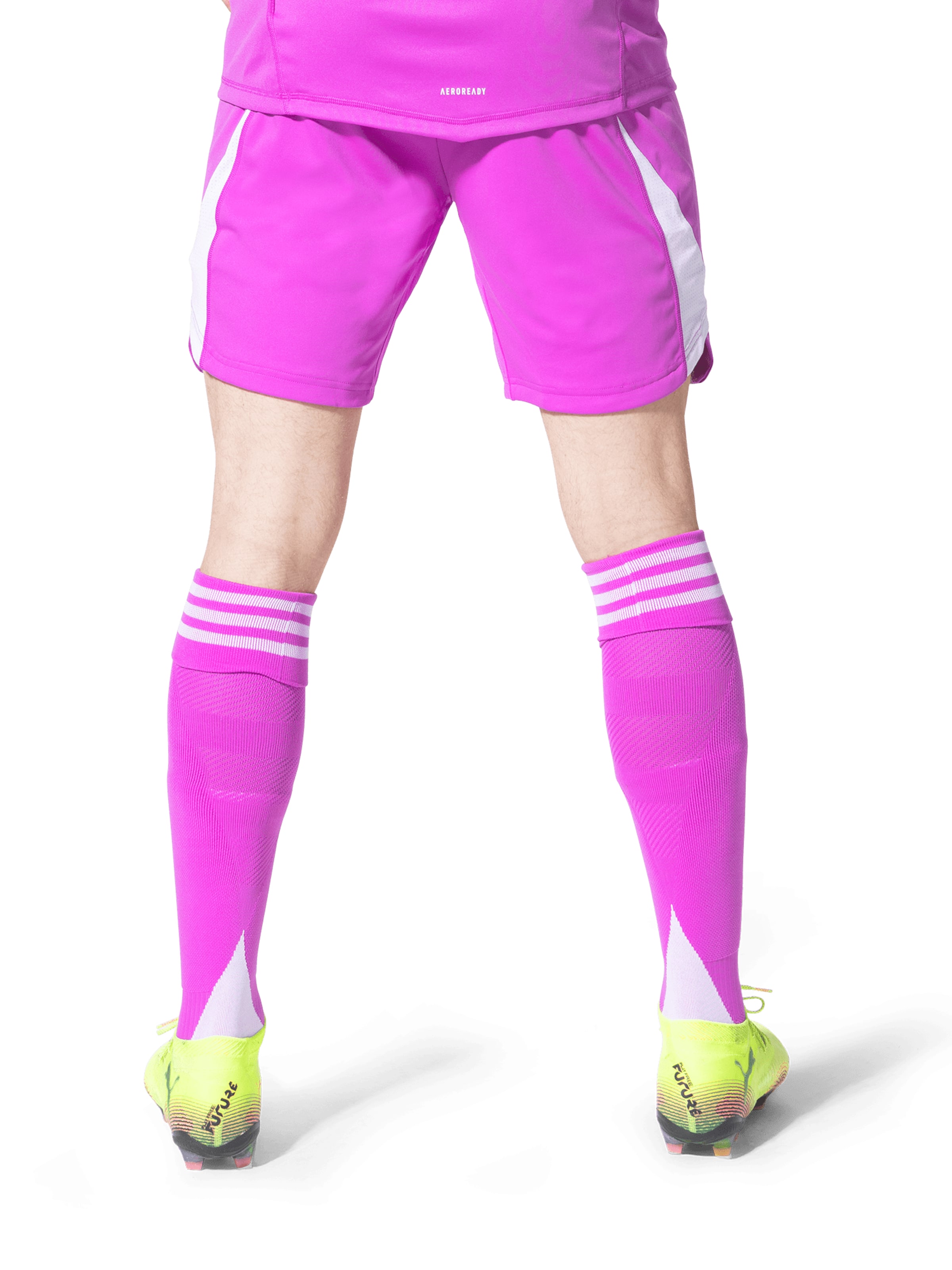 ADIDAS PERFORMANCE Обычный Спортивные штаны 'FC Bayern Torwart 25-26' в Лиловый