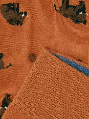 Von Jungfeld Socks 'Eber Icon' in Orange
