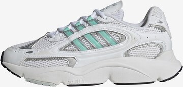 Baskets basses 'Ozmillen' ADIDAS ORIGINALS en blanc : devant