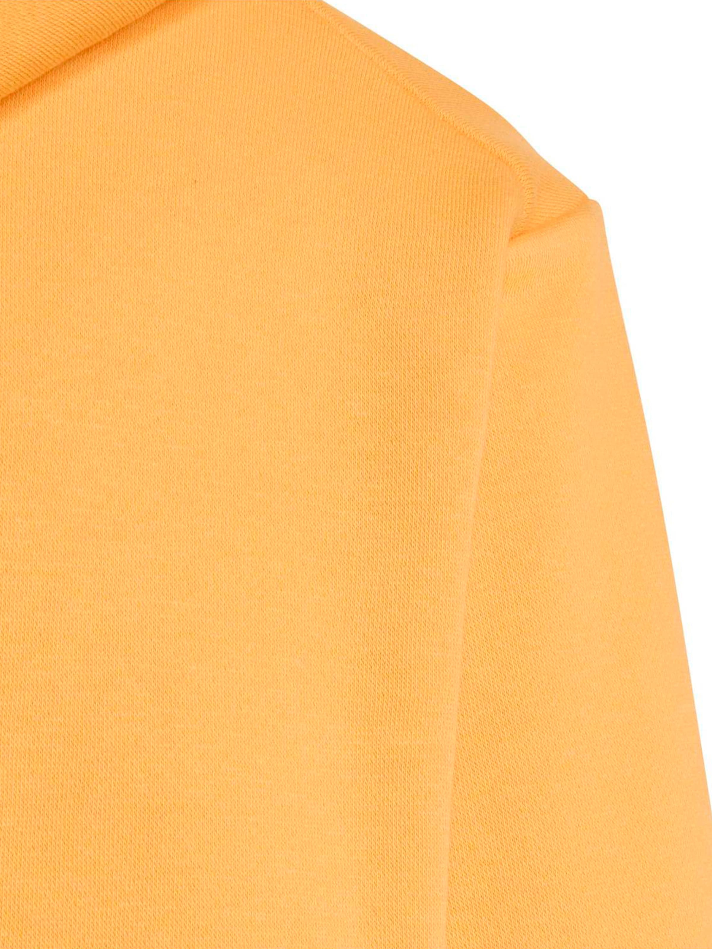 ADIDAS TERREX Spordidressipluusid, värv oranž