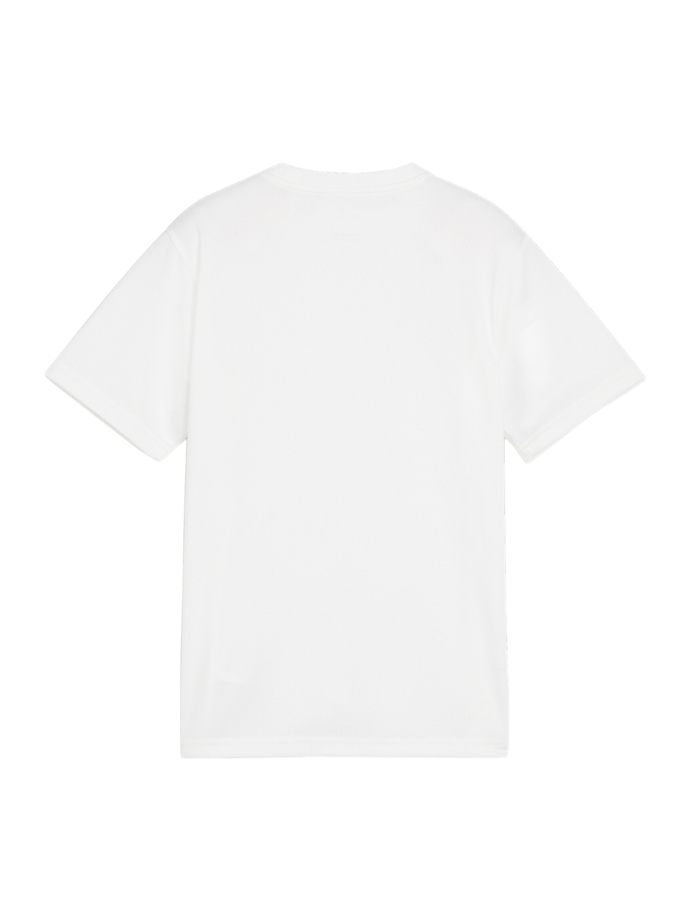 PUMA Funktionsshirt 'TeamGoal' in Weiß