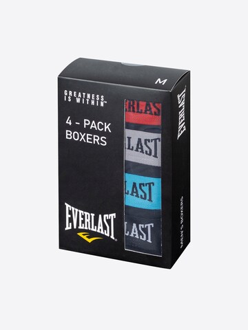 Everlast Boxer shorts 'MEN'S BOXERS' in Grey