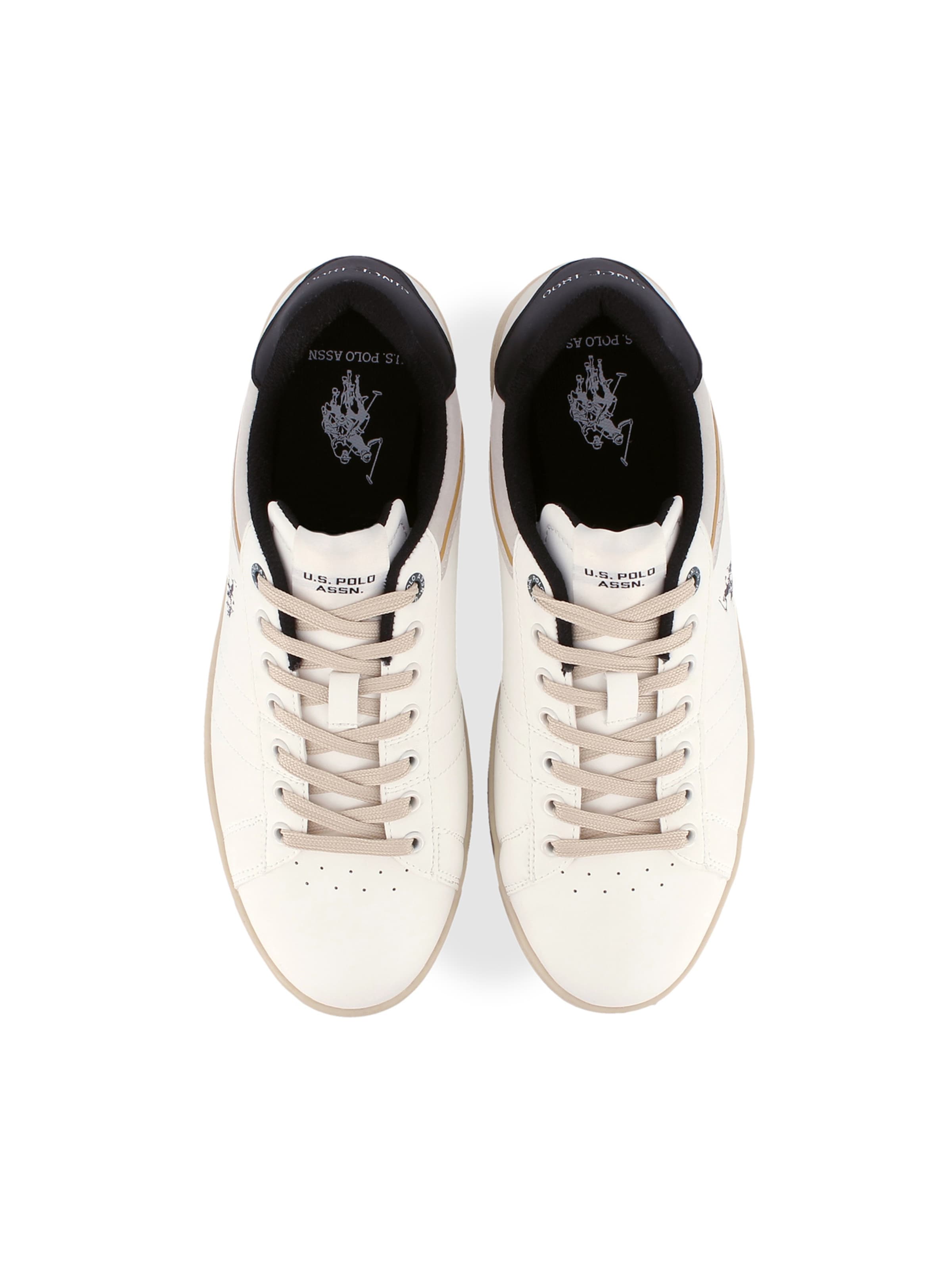 Baskets basses 'Alpha' US POLO ASSN. en blanc