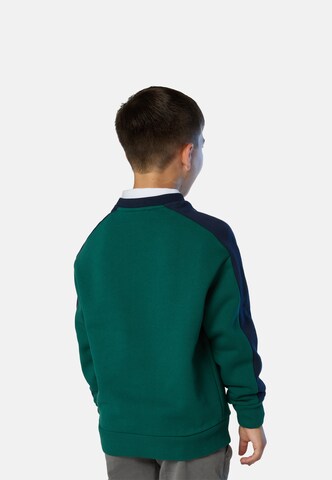 North Sails Sweatshirt in Grün
