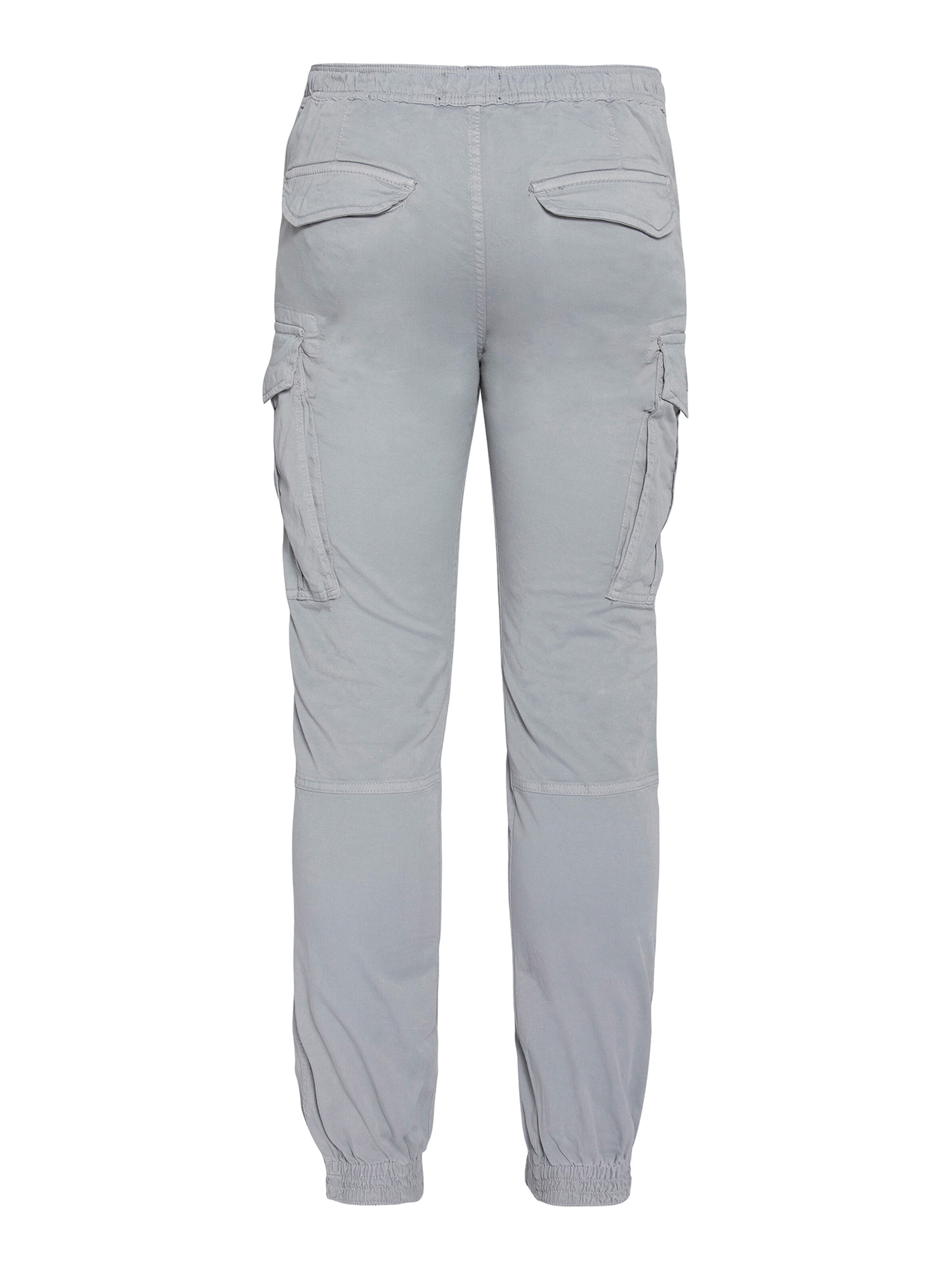 Schott NYC Regular Cargo Pants in Grey