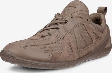 Baskets basses 'BIOM LITE' ECCO en marron : devant