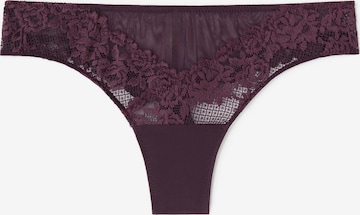 INTIMISSIMI Panty 'Pretty Flowers' in Purple: front