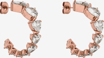 PURELEI Ohrringe 'Evermore' in Gold: Vorderseite