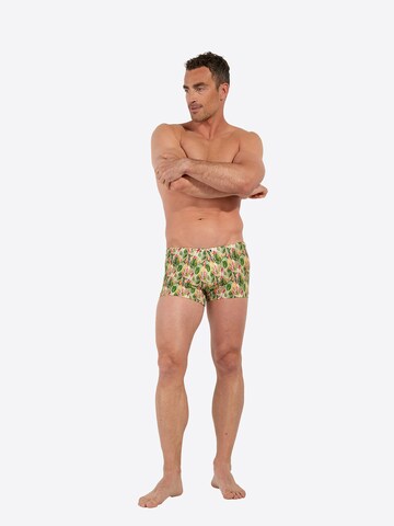 Shorts de bain ' Swim Shorts Taormina ' HOM en vert