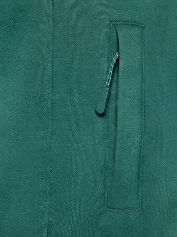 BIG STAR Tapered Trousers 'Kersyn' in Green