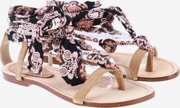 Fisico Sandals & High-Heeled Sandals in 39 in Brown: front