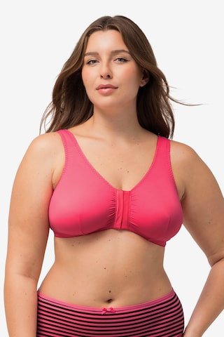 Ulla Popken Bralette Bra in Mixed colors: front