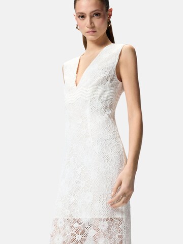 PINKO Kleid 'PINKO AUDREY ABITO PIZZO REBRODE ABITO' in Weiß