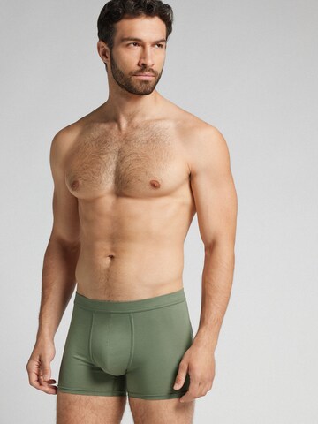 INTIMISSIMI Boxer in Grün