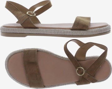 Marc O'Polo Sandals & High-Heeled Sandals in 42 in Brown: front