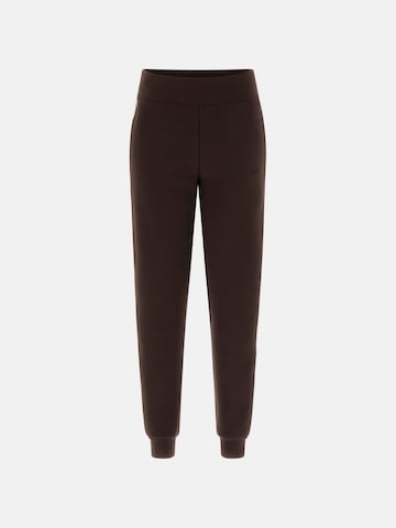 GUESS Regular Sportbroek 'V2YB15KB3P2' in Bruin