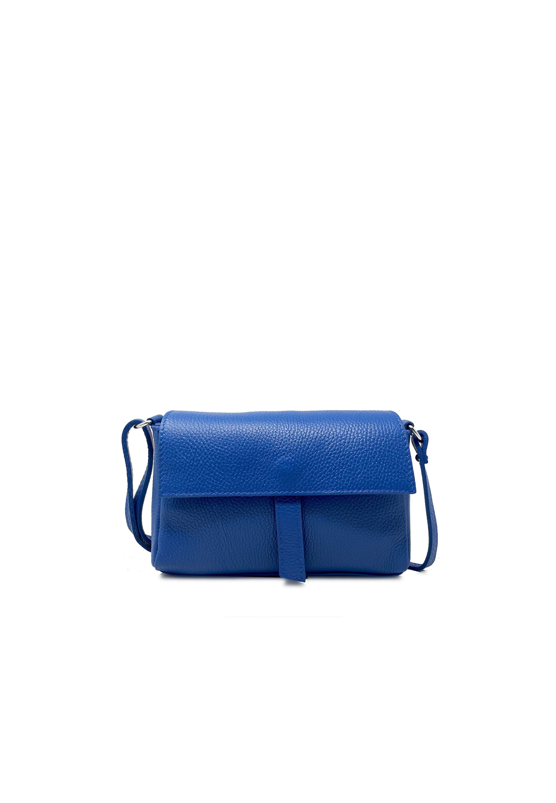 CHICCA BORSE Crossbody Bag in Blue: front