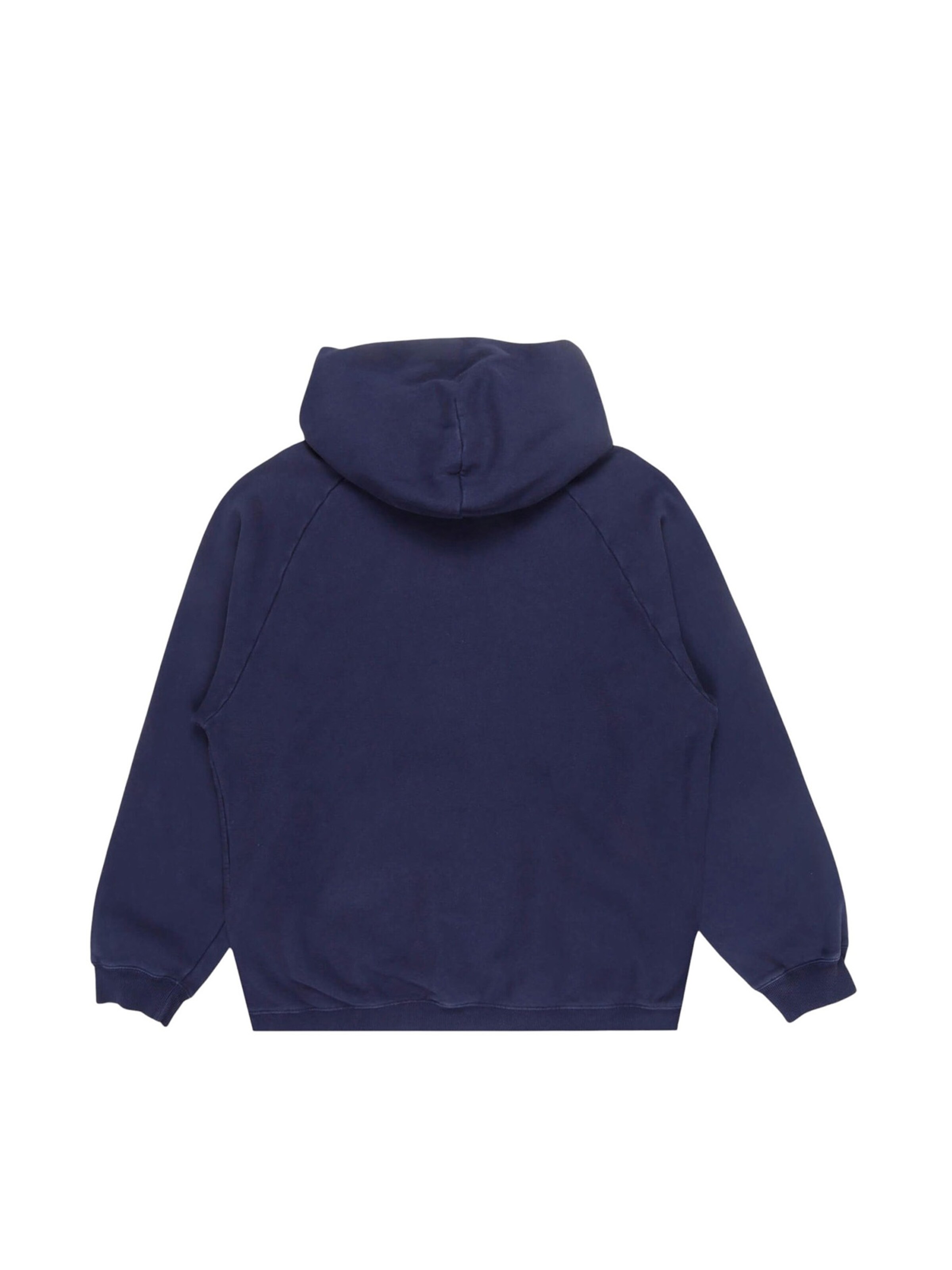 Champion Sweatshirt in Blau