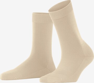 FALKE Socken 'ClimaWool' in Beige: Vorderseite