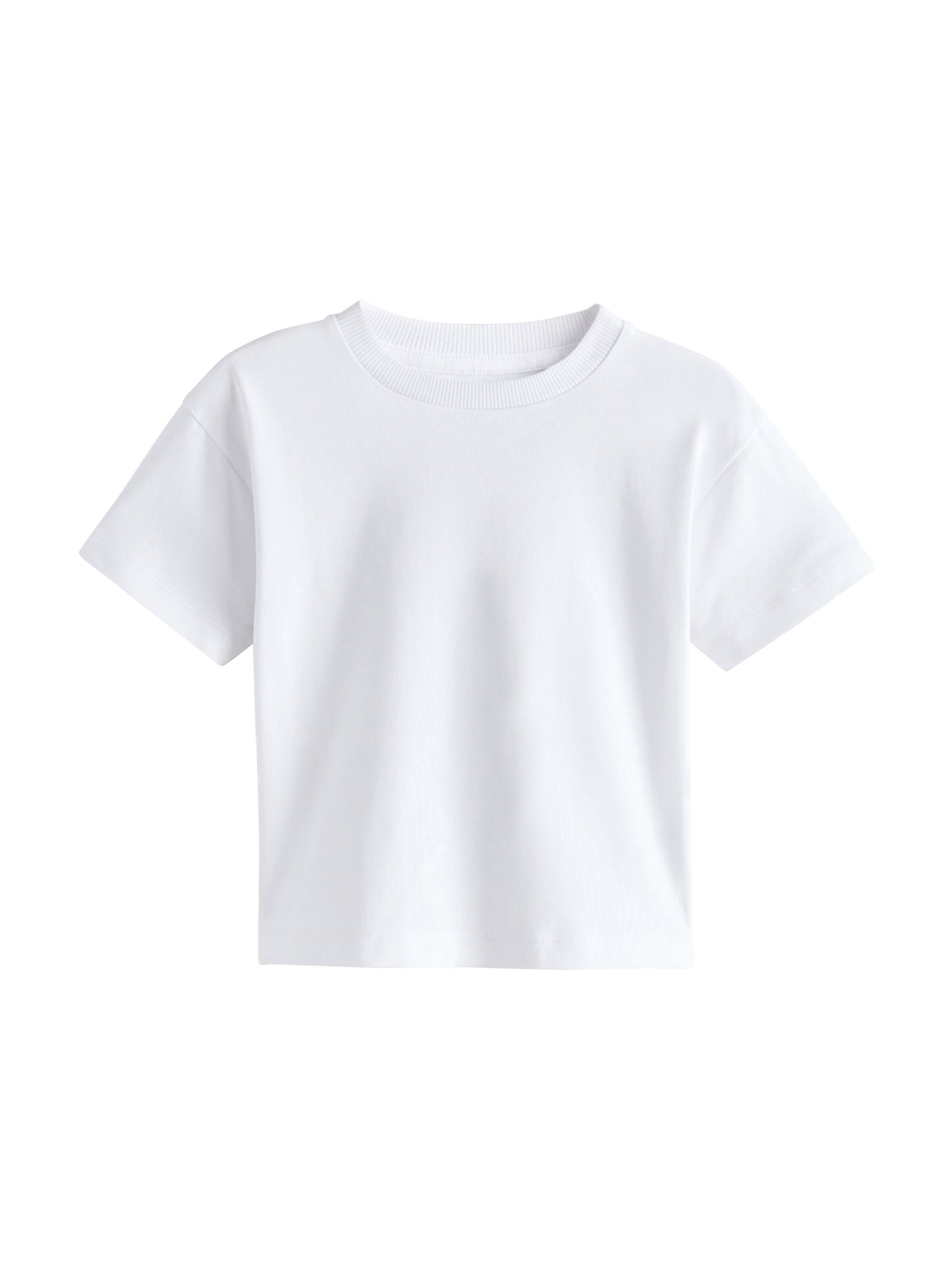 Next Shirt in Mischfarben