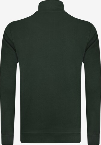 DENIM CULTURE Sweatshirt 'ALCINOO' in Groen