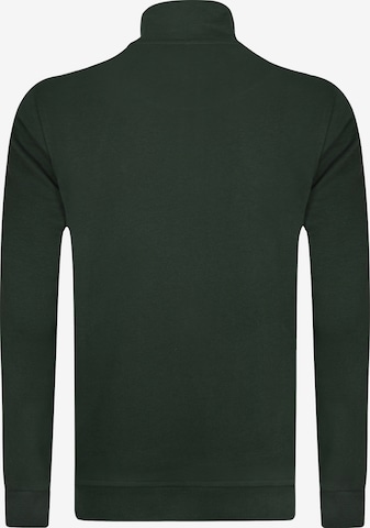 DENIM CULTURE Sweatshirt 'ALCINOO' in Grün