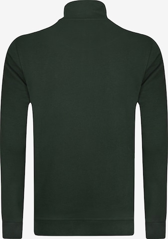 DENIM CULTURE - Sudadera 'ALCINOO' en verde