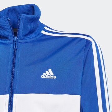 ADIDAS PERFORMANCE Trainingspak 'Essentials Tiberio' in Blauw