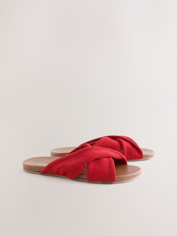 Next Mule in Red