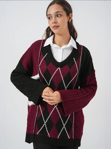 Bigdart Pullover in Rot