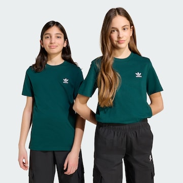 ADIDAS ORIGINALS T-Shirt 'Trefoil Essentials' in Grün: Vorderseite
