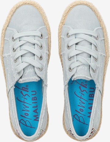 Chaussure de sport à lacets Blowfish Malibu en bleu