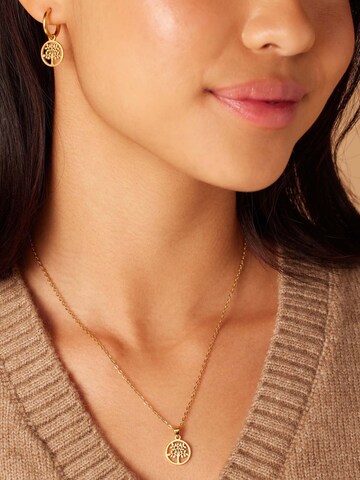 Chaîne Lucardi en or