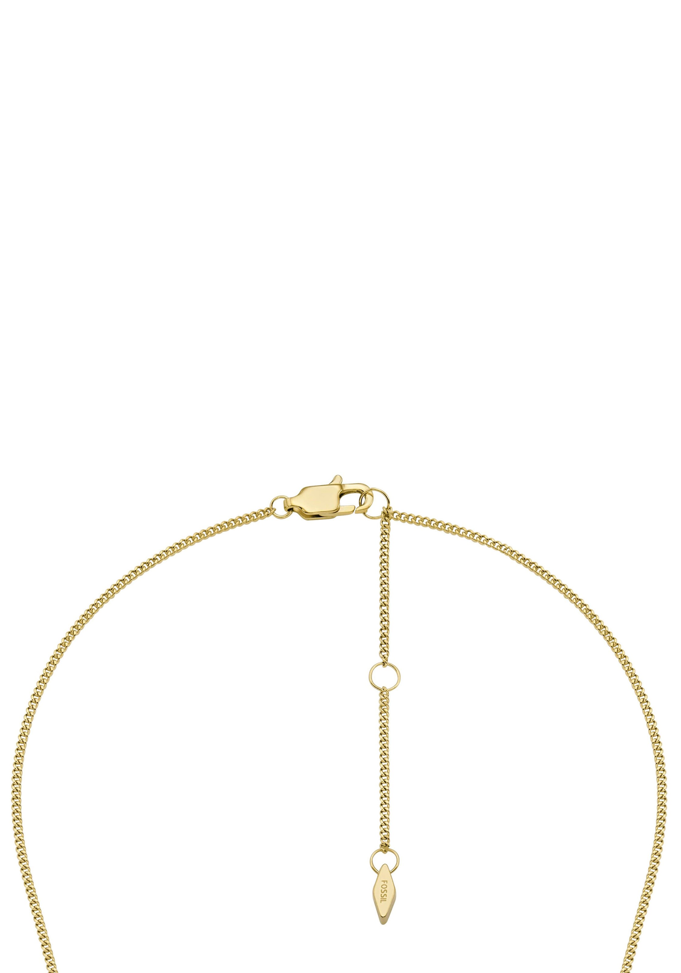 FOSSIL Necklace in Gold