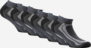 Chaussettes de sport Rohner Basic en gris : devant