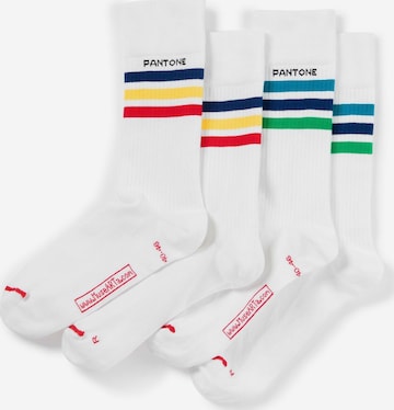 Pantone made by MuseARTa Socks 'Stripes' in White: front
