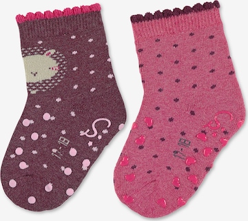 STERNTALER Socken in Pink: predná strana