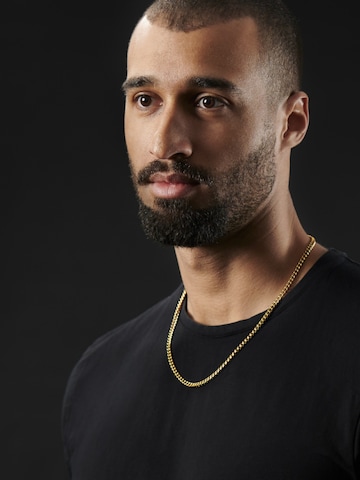 Lucleon Necklace 'Essentials' in Gold