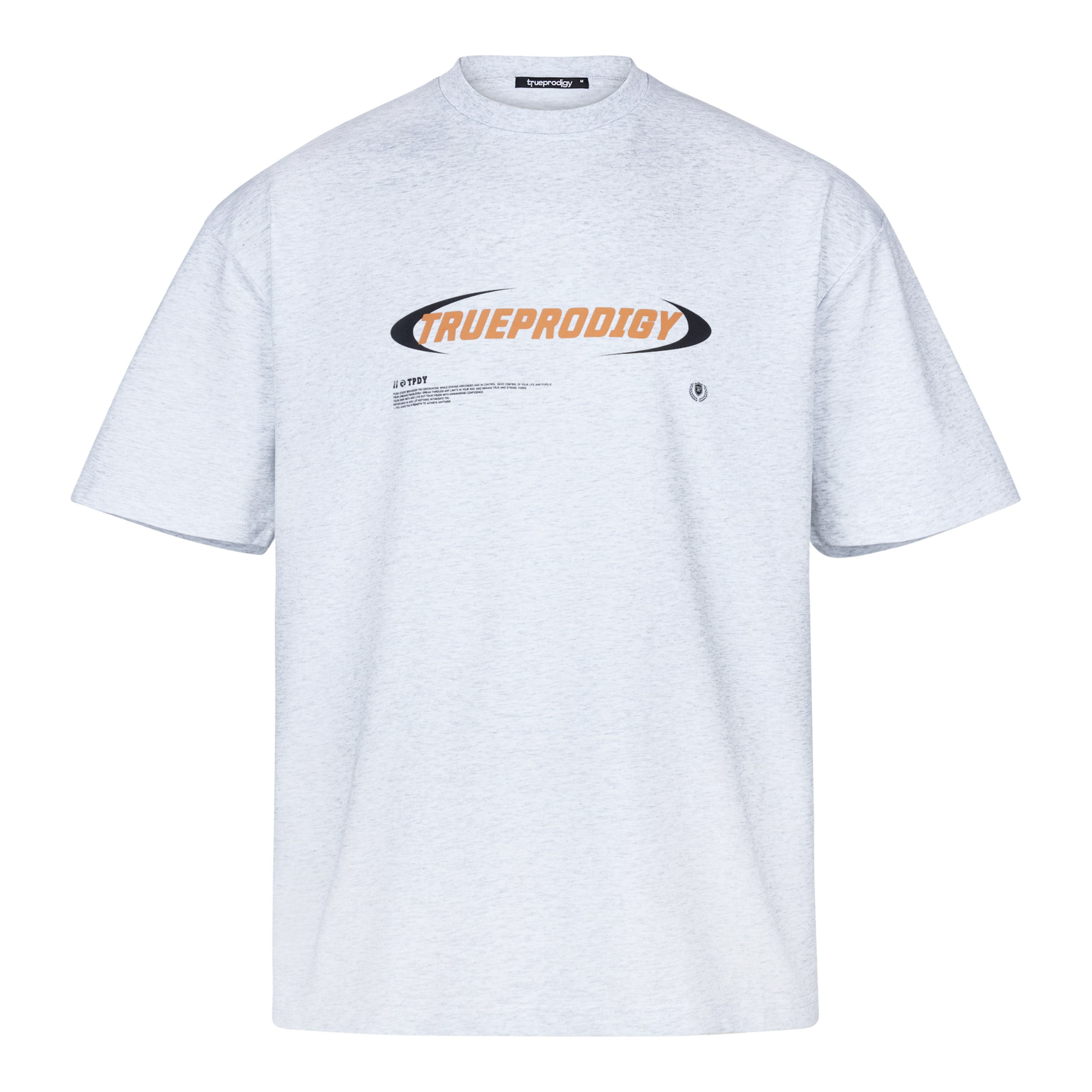 trueprodigy Koszulka 'Ravi' w kolorze szary: przód