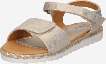 BULLBOXER Sandals 'Chamk' in Gold: front