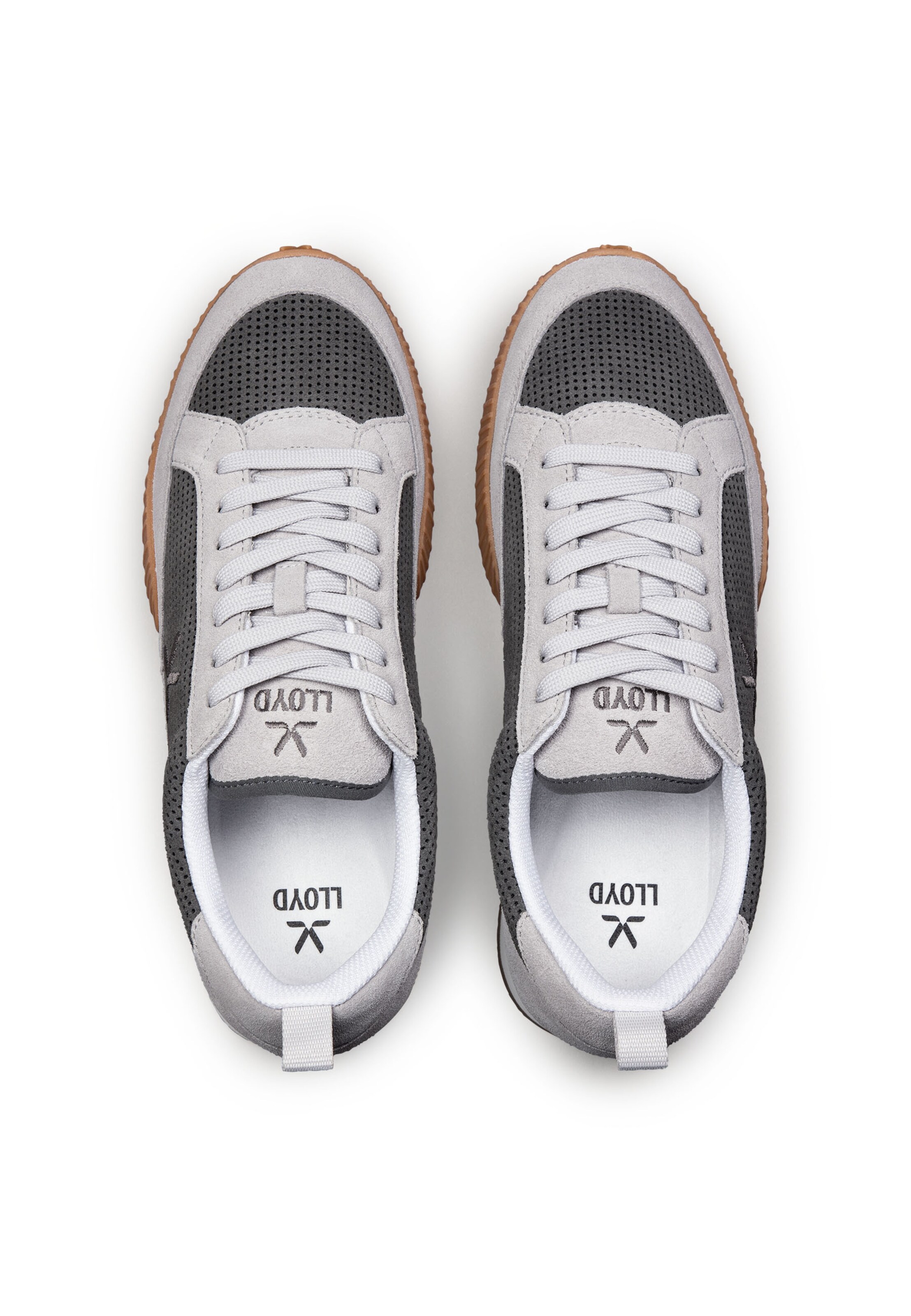 Baskets basses LLOYD en gris