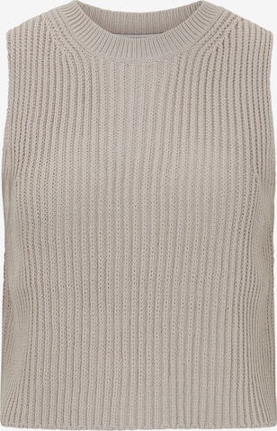 DRYKORN Knitted Top ' Noara ' in Beige: front