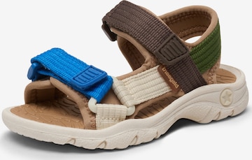 BISGAARD Sandals & Slippers 'Nico' in Mixed colors: front
