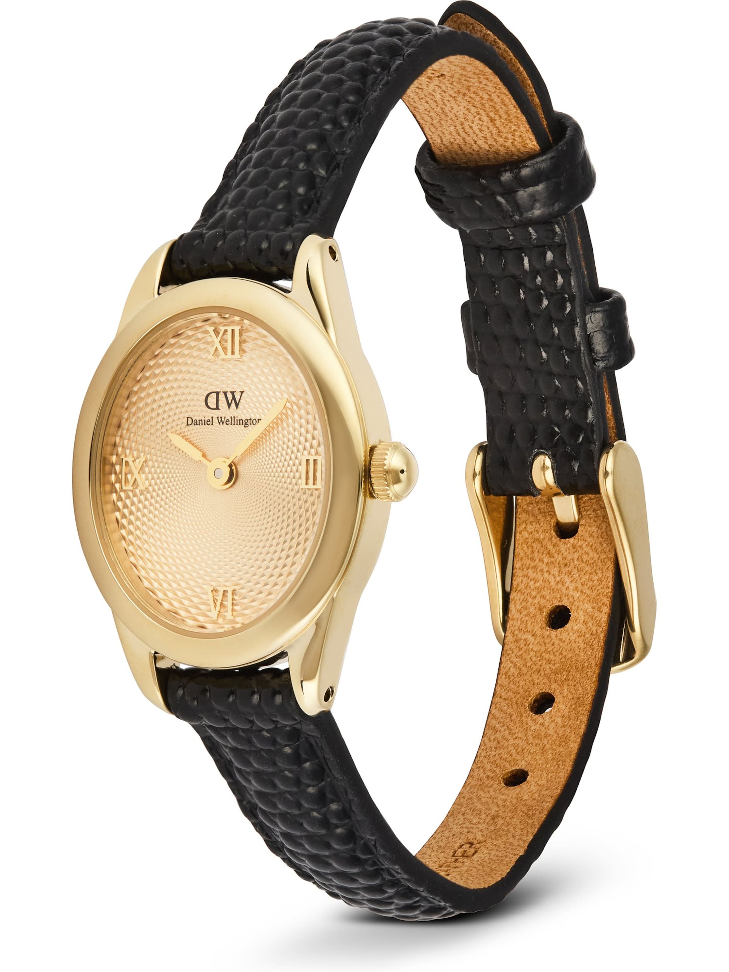 Daniel Wellington Analoguhr in Gold