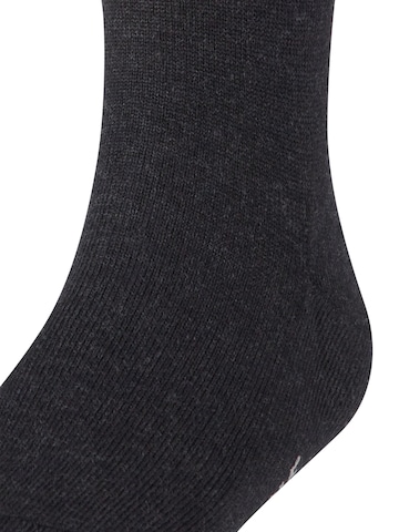 FALKE Socks in Grey