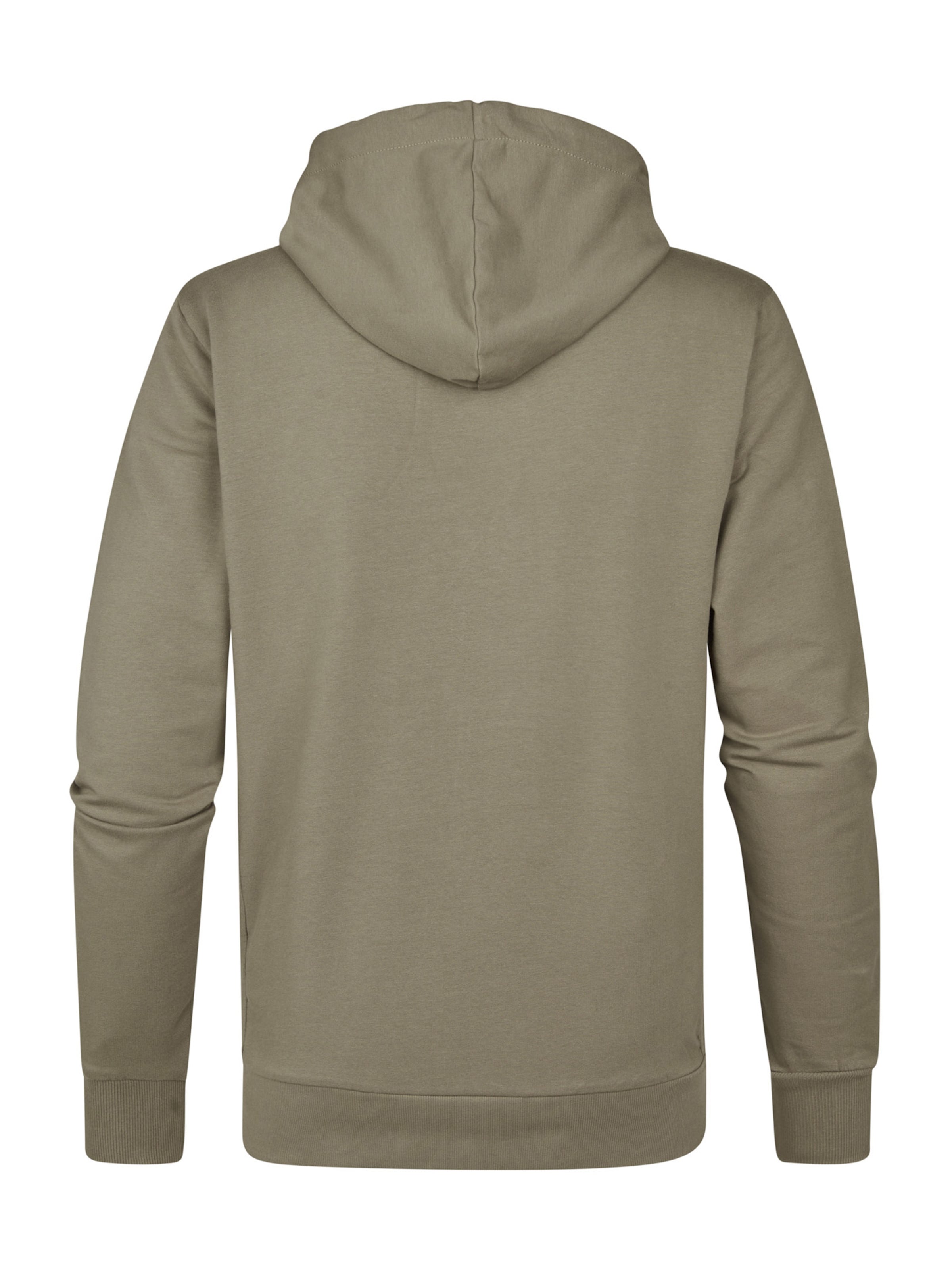 Sweat-shirt 'Driftwood' Petrol Industries en gris