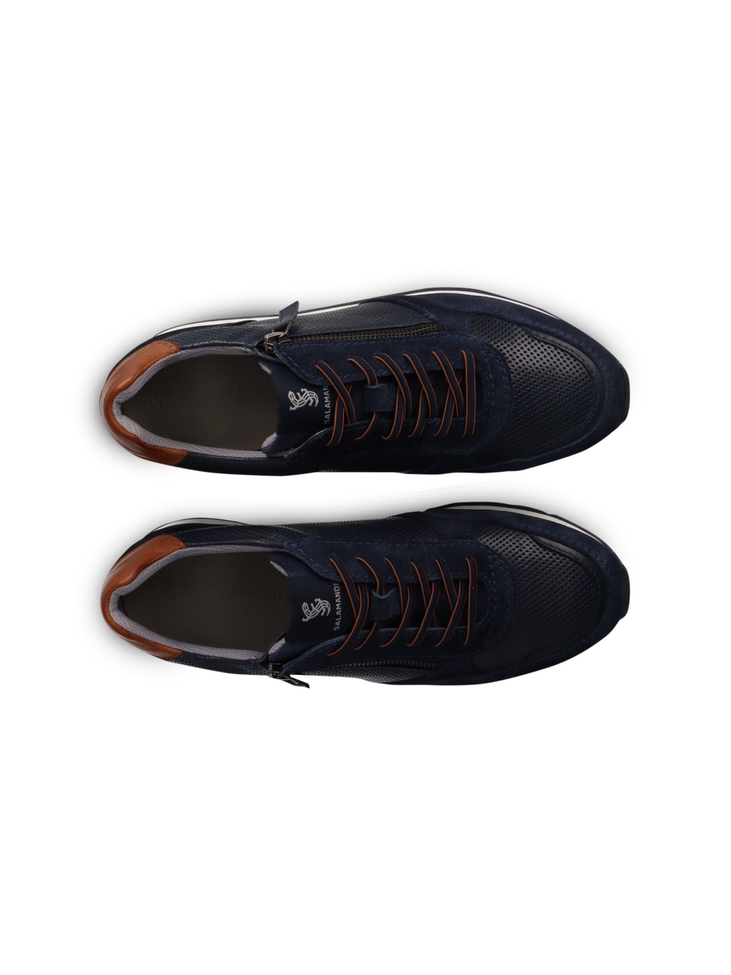 mėlyna SALAMANDER Sportbačiai be auliuko